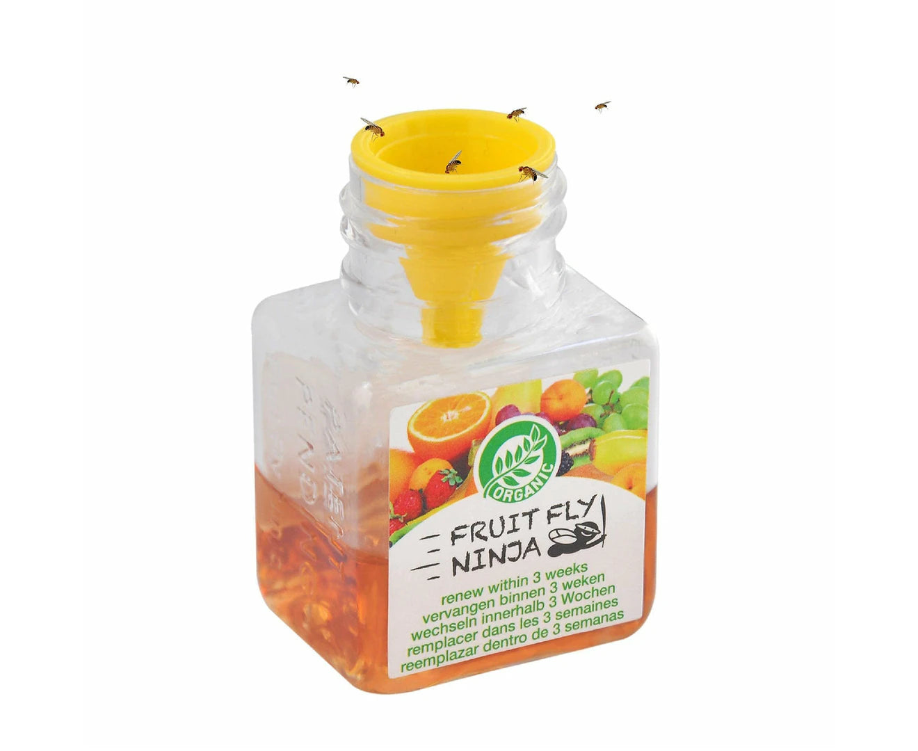 ORGANIC FRUIT FLY NINJA TRAPS