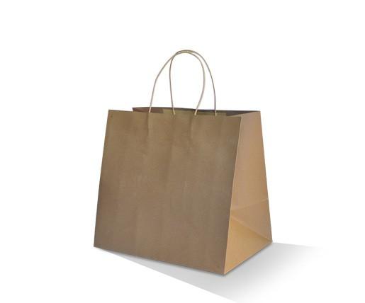 Brown Paper Kraft Carry Bag w/Twisted Handle