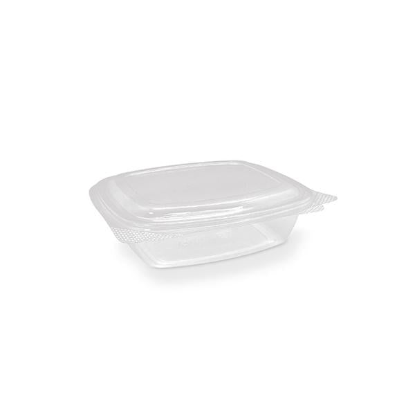 PET Hinged Rectangle Container - Various Sizes | Wholesale – CLUBCO