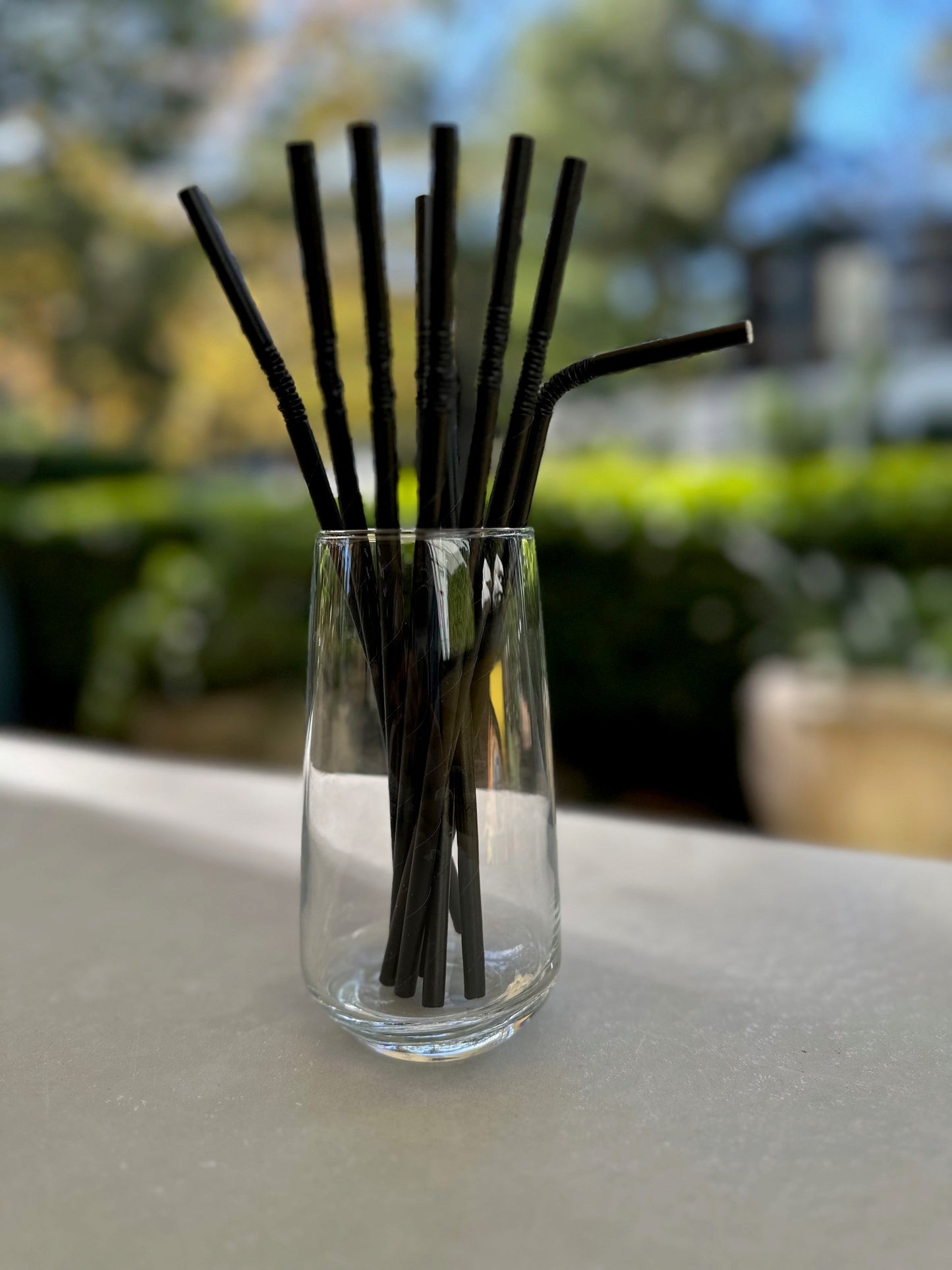 Unwrapped 4ply Paper Eco-Straw - Black - Various Sizes